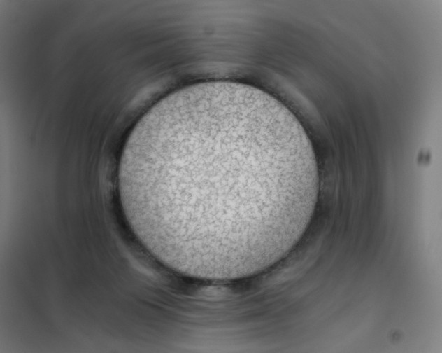 X0000101440119200808041224