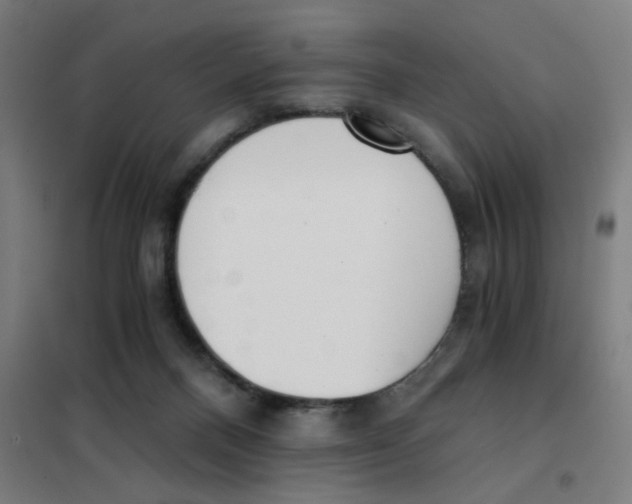 X0000101440120200808041224
