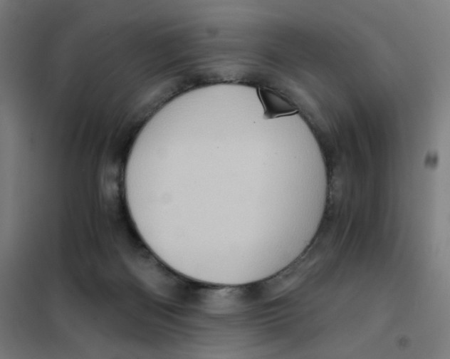 X0000101440122200808041223