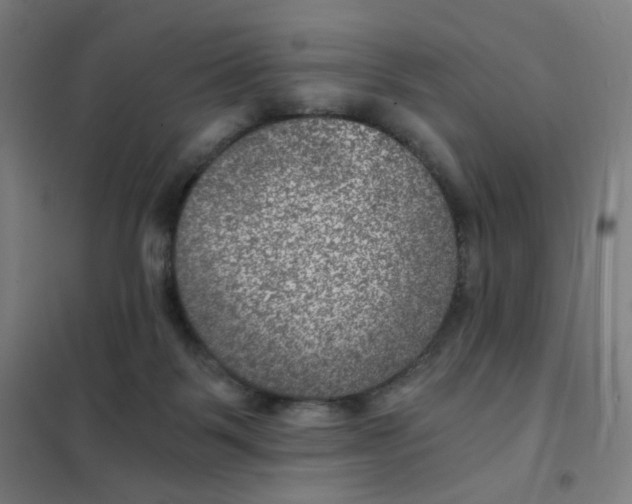 X0000101440123200808041223