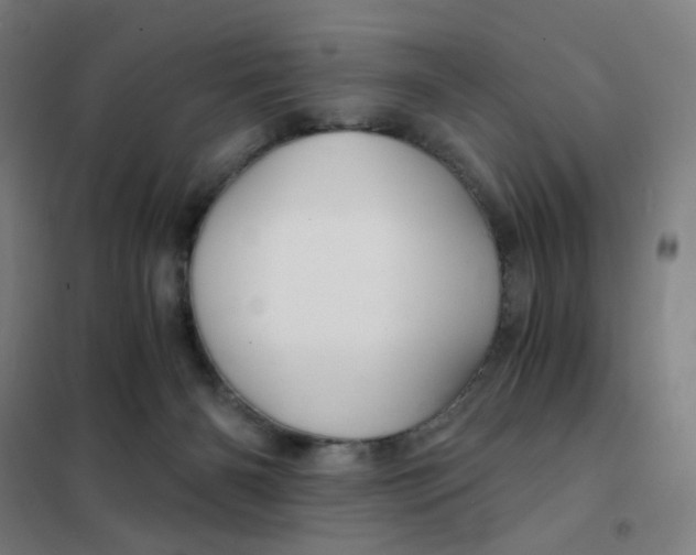 X0000101440126200808041223