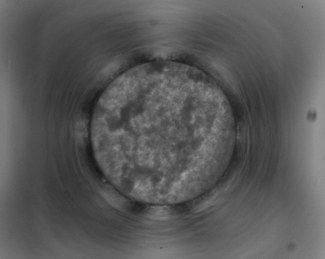 X0000101440127200808041223