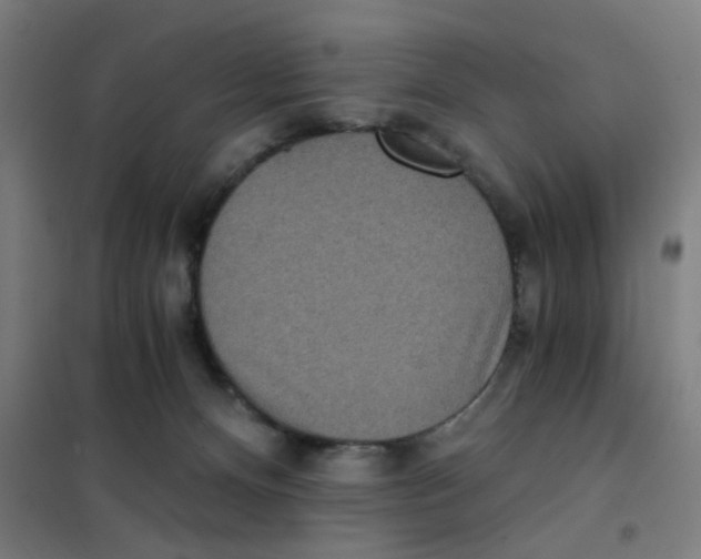 X0000101440128200808041223