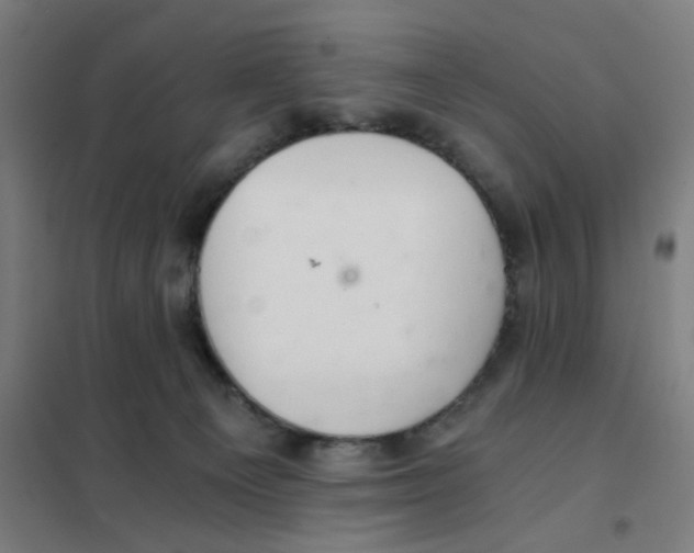 X0000101440129200808041223