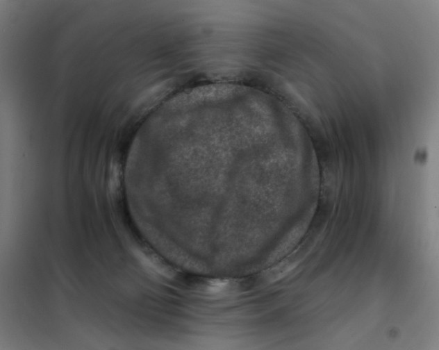 X0000101440130200808041223
