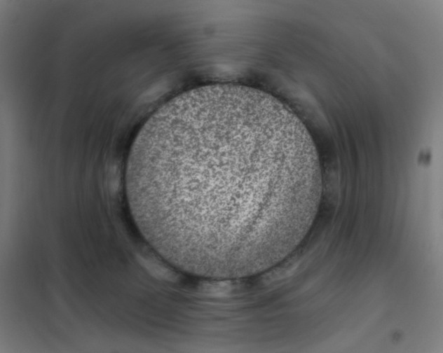 X0000101440131200808041223