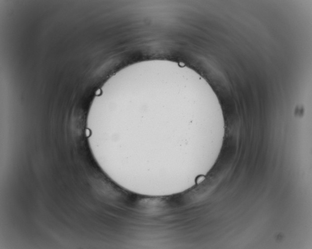 X0000101440133200808041223