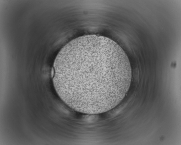 X0000101440135200808041223