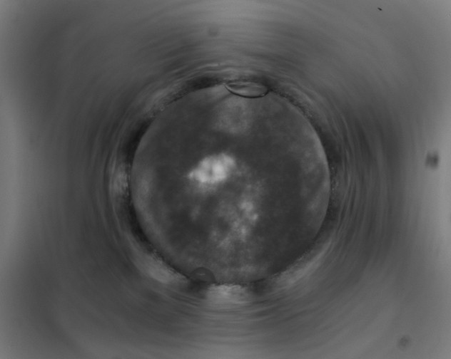 X0000101440137200808041223