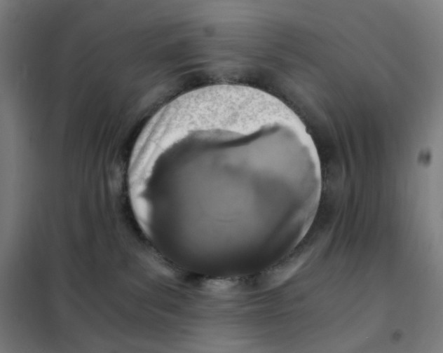 X0000101440139200808041223