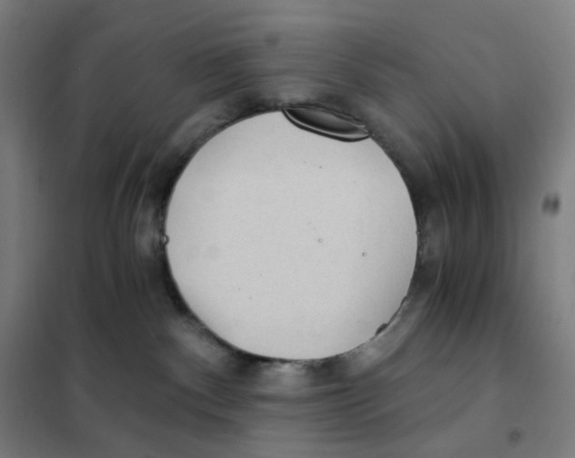 X0000101440140200808041223
