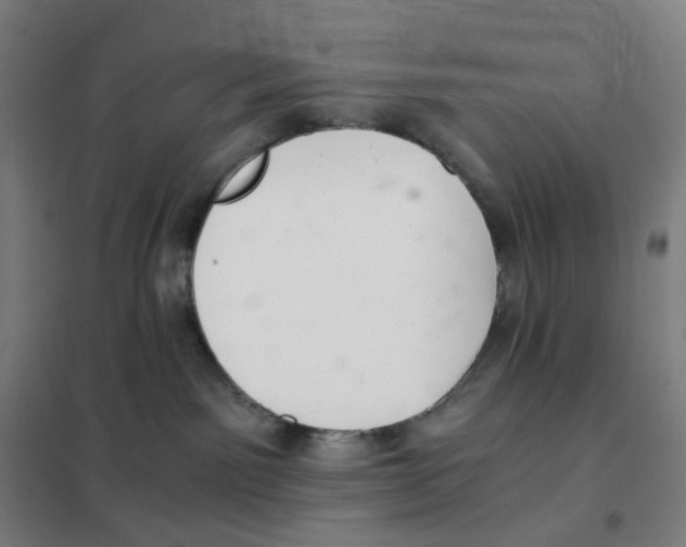 X0000101440141200808041223