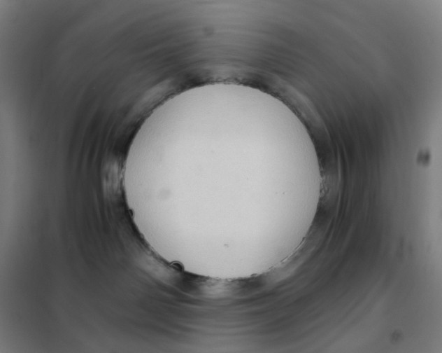 X0000101440142200808041223
