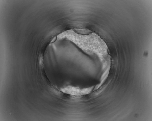 X0000101440143200808041223