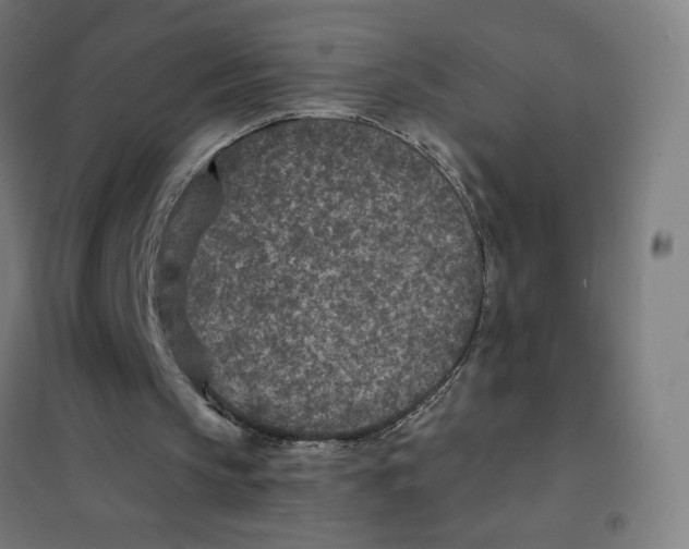 X0000101440145200808041223