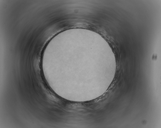 X0000101440146200808041223