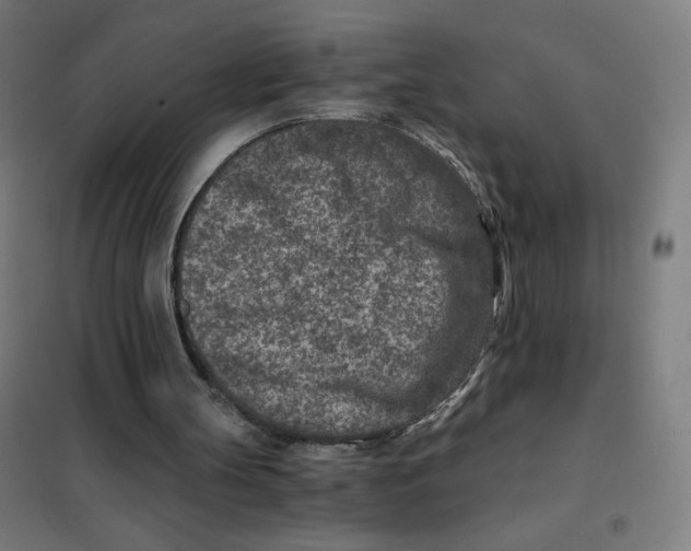 X0000101440147200808041223
