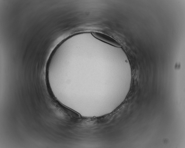 X0000101440148200808041223