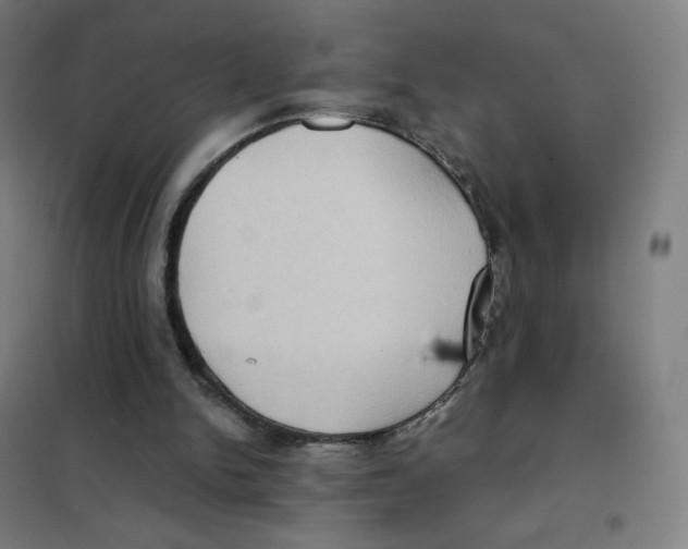 X0000101440150200808041223