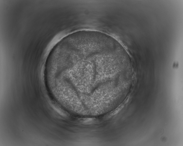 X0000101440151200808041223