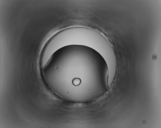 X0000101440152200808041223