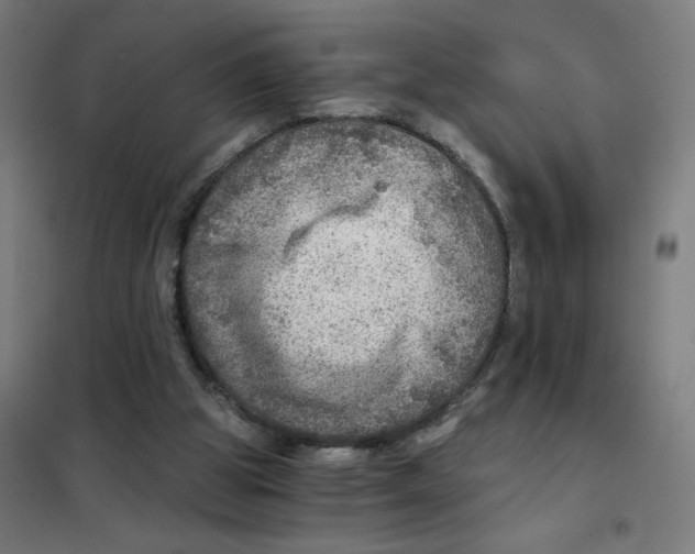 X0000101440153200808041223