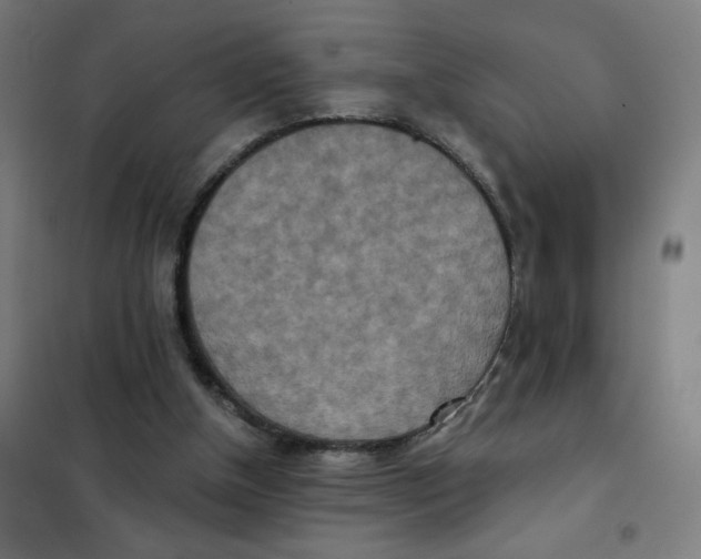 X0000101440154200808041223