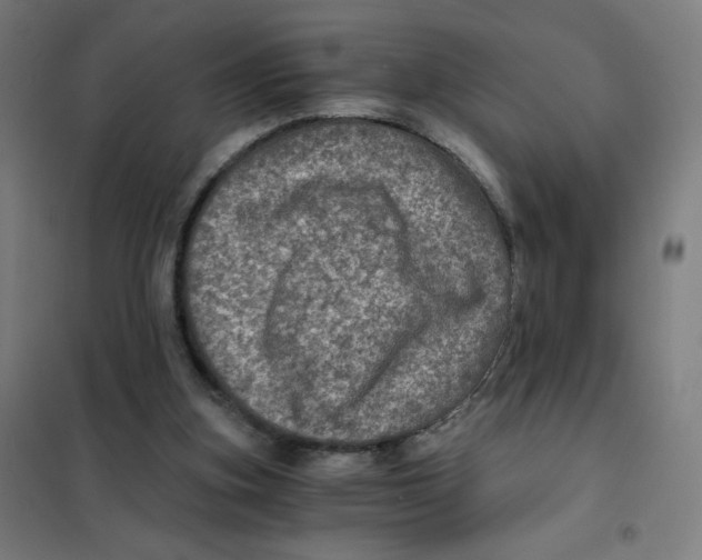 X0000101440155200808041223