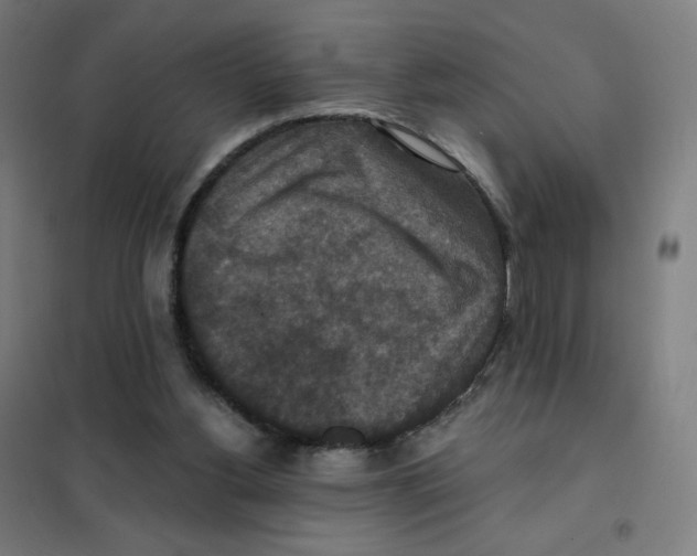 X0000101440156200808041223