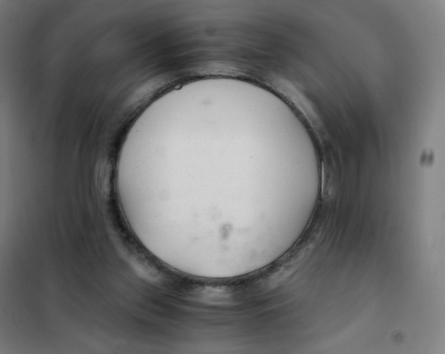X0000101440157200808041223