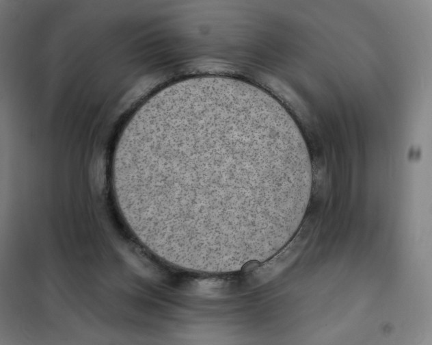 X0000101440158200808041223