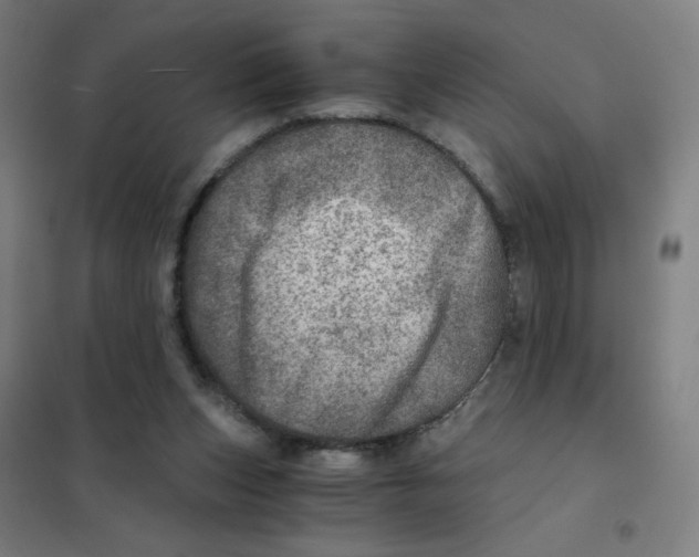 X0000101440159200808041223