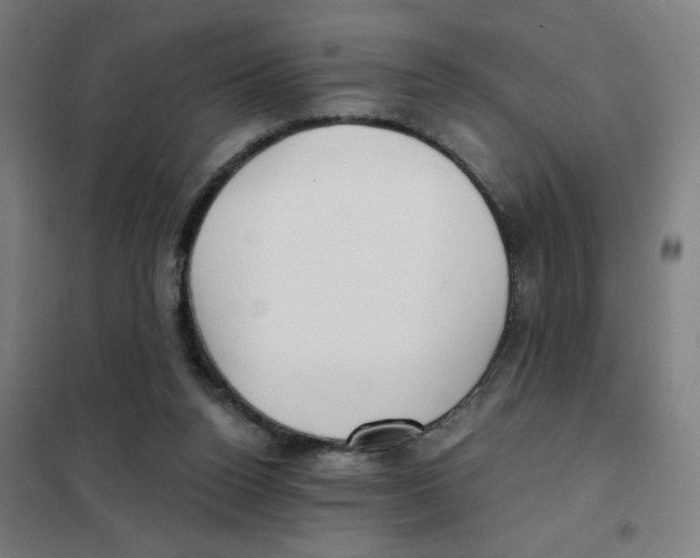 X0000101440160200808041223