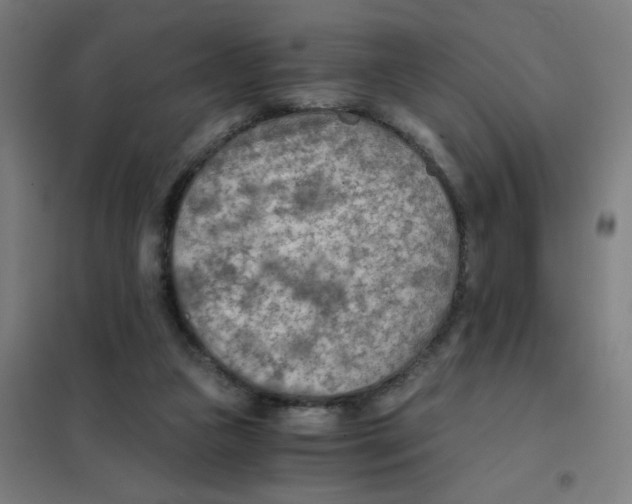 X0000101440161200808041223