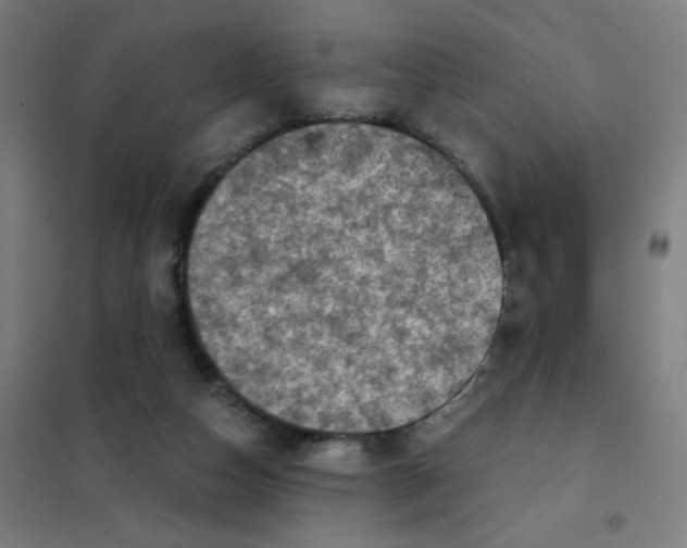 X0000101440162200808041223