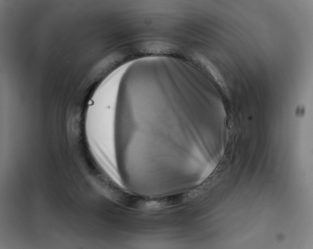 X0000101440163200808041223