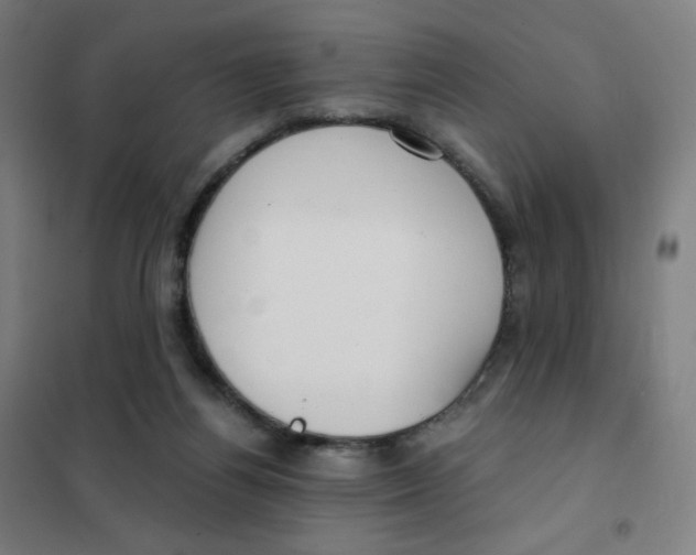 X0000101440164200808041223