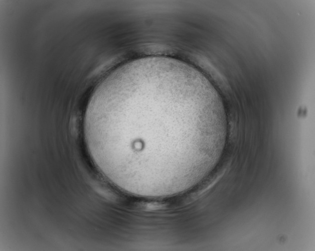 X0000101440165200808041223