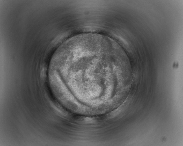 X0000101440166200808041223