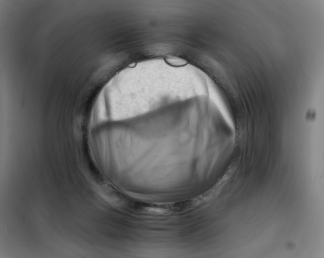 X0000101440167200808041223