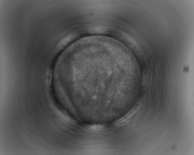 X0000101440168200808041223