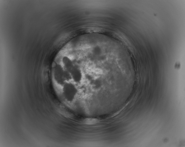 X0000101440169200808041223
