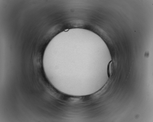 X0000101440170200808041223