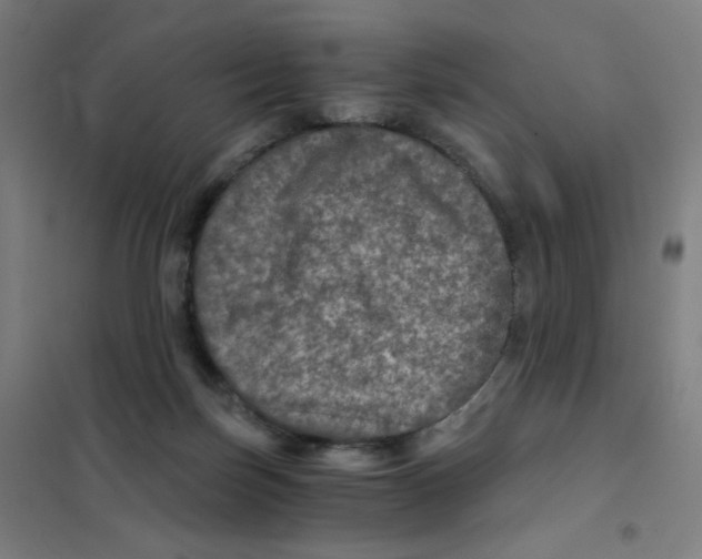 X0000101440171200808041223