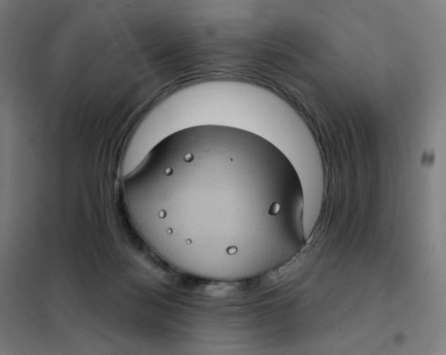 X0000101440172200808041223