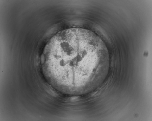 X0000101440173200808041223
