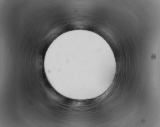 X0000101440174200808041223