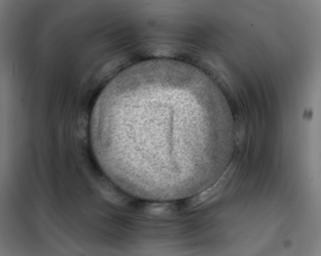 X0000101440175200808041223