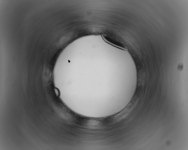 X0000101440176200808041223
