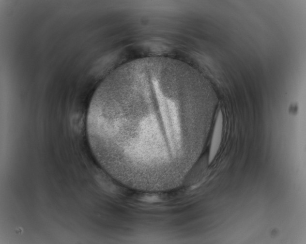 X0000101440177200808041223